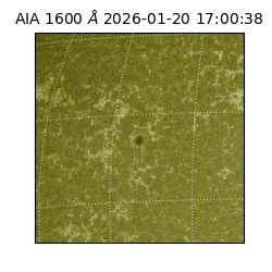 saia - 2026-01-20T17:00:38.126000