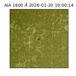 saia - 2026-01-20T19:00:14.126000