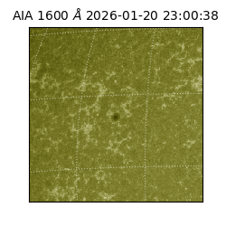 saia - 2026-01-20T23:00:38.132000