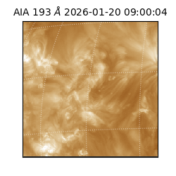 saia - 2026-01-20T09:00:04.843000