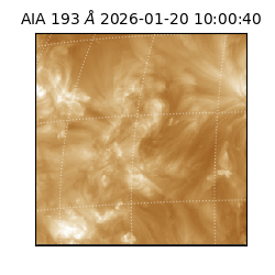 saia - 2026-01-20T10:00:40.842000