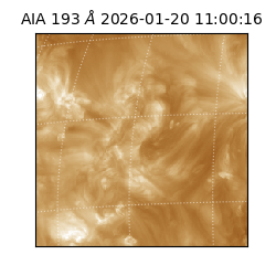 saia - 2026-01-20T11:00:16.843000