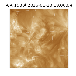 saia - 2026-01-20T19:00:04.844000