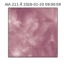 saia - 2026-01-20T09:00:09.633000
