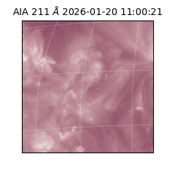 saia - 2026-01-20T11:00:21.626000