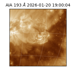 saia - 2026-01-20T19:00:04.844000