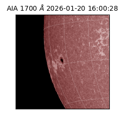 saia - 2026-01-20T16:00:28.709000