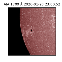 saia - 2026-01-20T23:00:52.717000