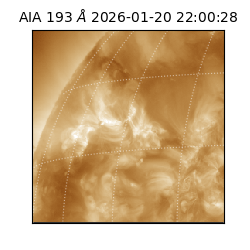 saia - 2026-01-20T22:00:28.843000