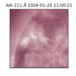 saia - 2026-01-20T11:00:21.626000