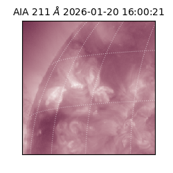 saia - 2026-01-20T16:00:21.632000