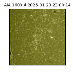 saia - 2026-01-20T22:00:14.126000