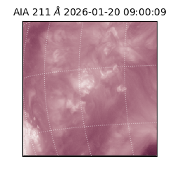 saia - 2026-01-20T09:00:09.633000