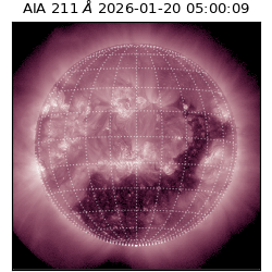 saia - 2026-01-20T05:00:09.625000