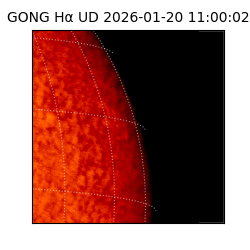 gong - 2026-01-20T11:00:02