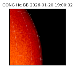 gong - 2026-01-20T19:00:02