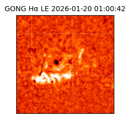 gong - 2026-01-20T01:00:42