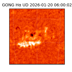 gong - 2026-01-20T06:00:02