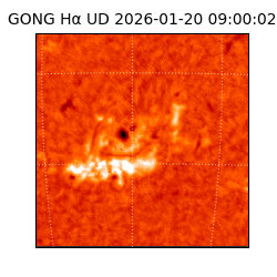 gong - 2026-01-20T09:00:02