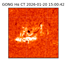 gong - 2026-01-20T15:00:42