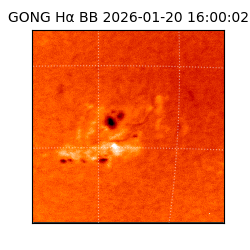 gong - 2026-01-20T16:00:02