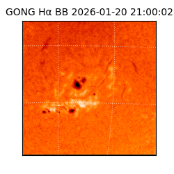 gong - 2026-01-20T21:00:02