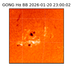 gong - 2026-01-20T23:00:02