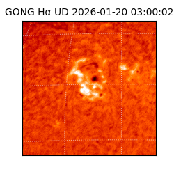 gong - 2026-01-20T03:00:02