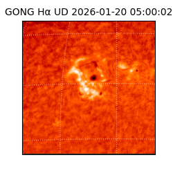 gong - 2026-01-20T05:00:02