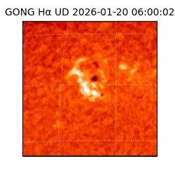 gong - 2026-01-20T06:00:02