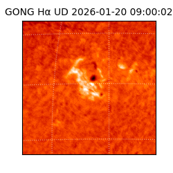 gong - 2026-01-20T09:00:02