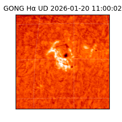gong - 2026-01-20T11:00:02
