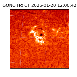 gong - 2026-01-20T12:00:42