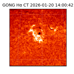 gong - 2026-01-20T14:00:42