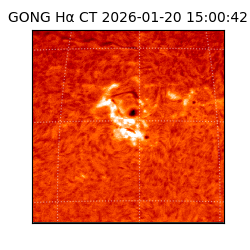 gong - 2026-01-20T15:00:42