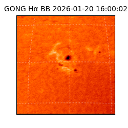 gong - 2026-01-20T16:00:02