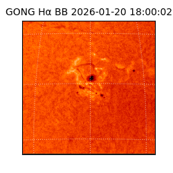 gong - 2026-01-20T18:00:02