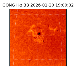 gong - 2026-01-20T19:00:02