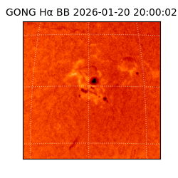 gong - 2026-01-20T20:00:02