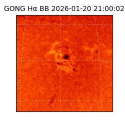 gong - 2026-01-20T21:00:02