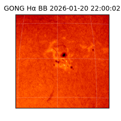 gong - 2026-01-20T22:00:02
