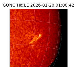 gong - 2026-01-20T01:00:42