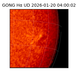 gong - 2026-01-20T04:00:02