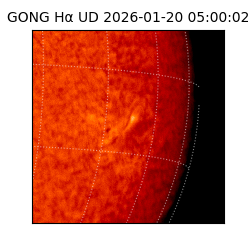 gong - 2026-01-20T05:00:02