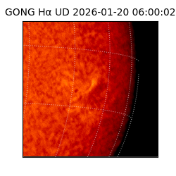 gong - 2026-01-20T06:00:02