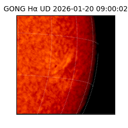 gong - 2026-01-20T09:00:02