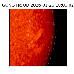 gong - 2026-01-20T10:00:02