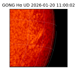 gong - 2026-01-20T11:00:02
