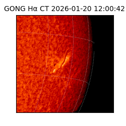 gong - 2026-01-20T12:00:42