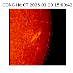 gong - 2026-01-20T15:00:42